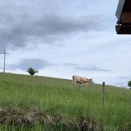 Pri Luke Dolna Lehota