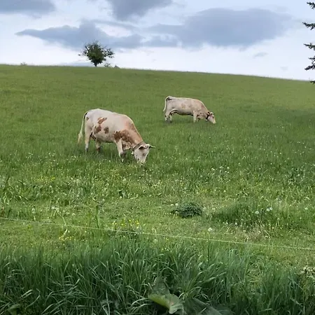 Pri Luke * Dolna Lehota