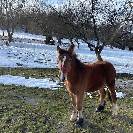 Pri Luke Dolna Lehota